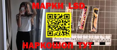 гидра Краснокаменск