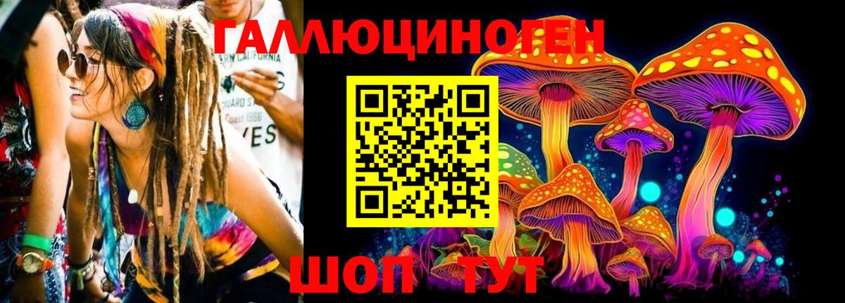 Благовещенск  Галлюциногенные грибы GOLDEN TEACHER  Вход с VPN  Галлюциногенные грибы Magic Shrooms 